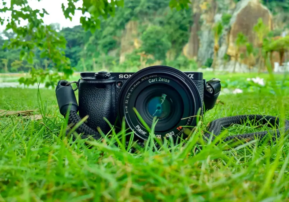 Jaki aparat do fotografowania ptaków? Najlepsze modele i porady dla Ciebie