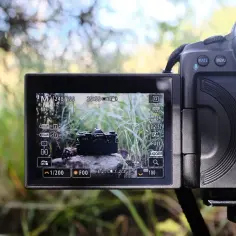 Jak ustawić ostrość w aparacie Canon - praktyczne wskazówki dla fotografów